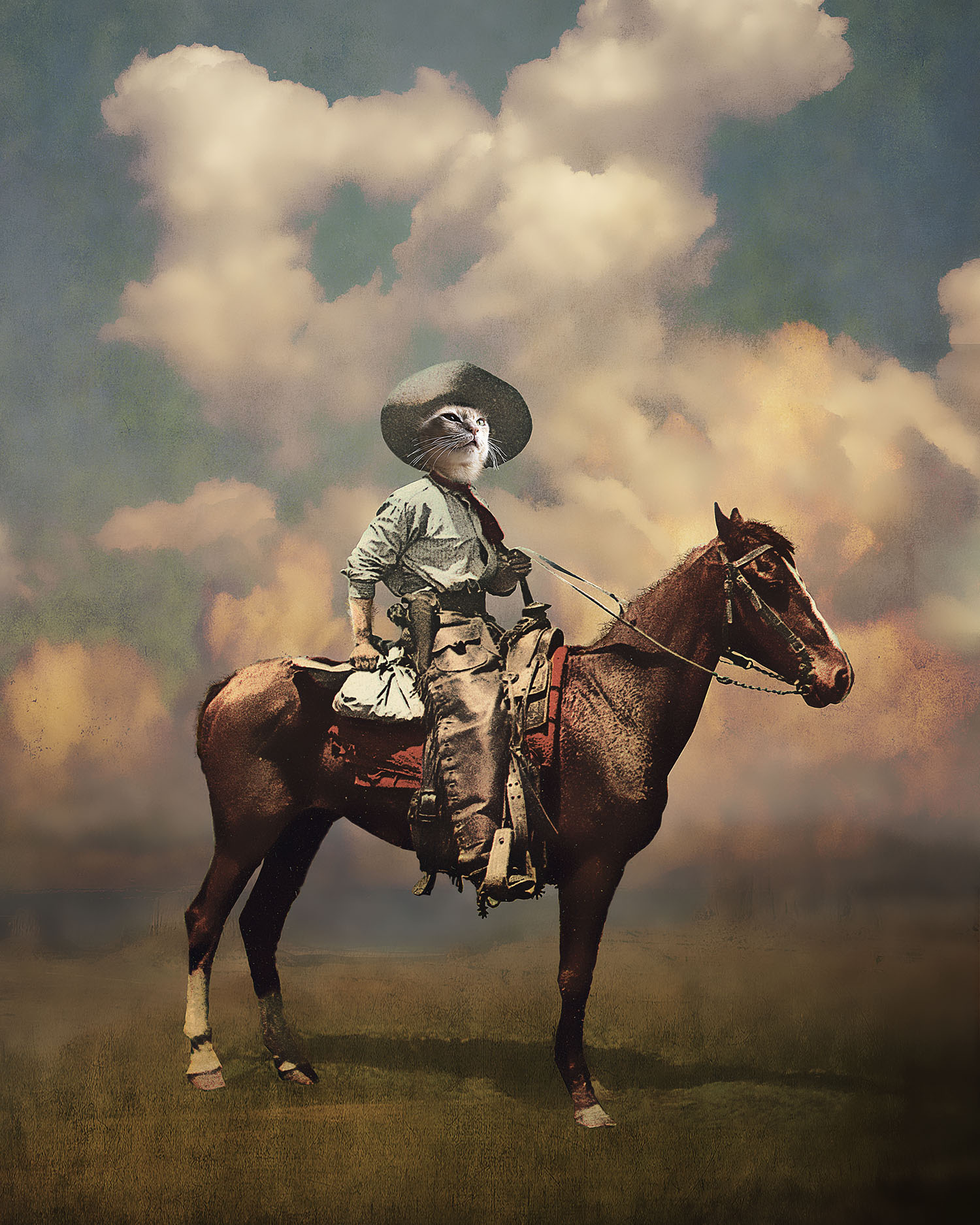 The Glorious Cowboy