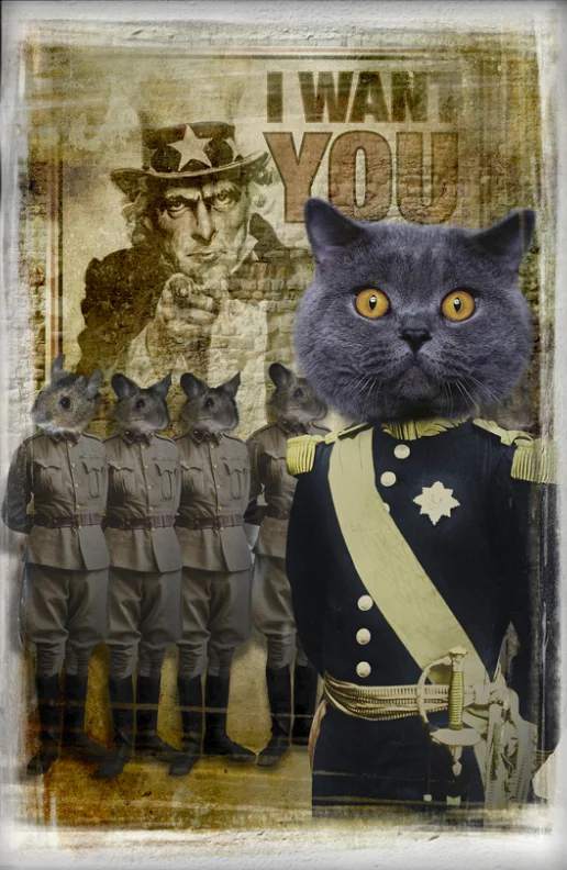 Field Marshal Pusant