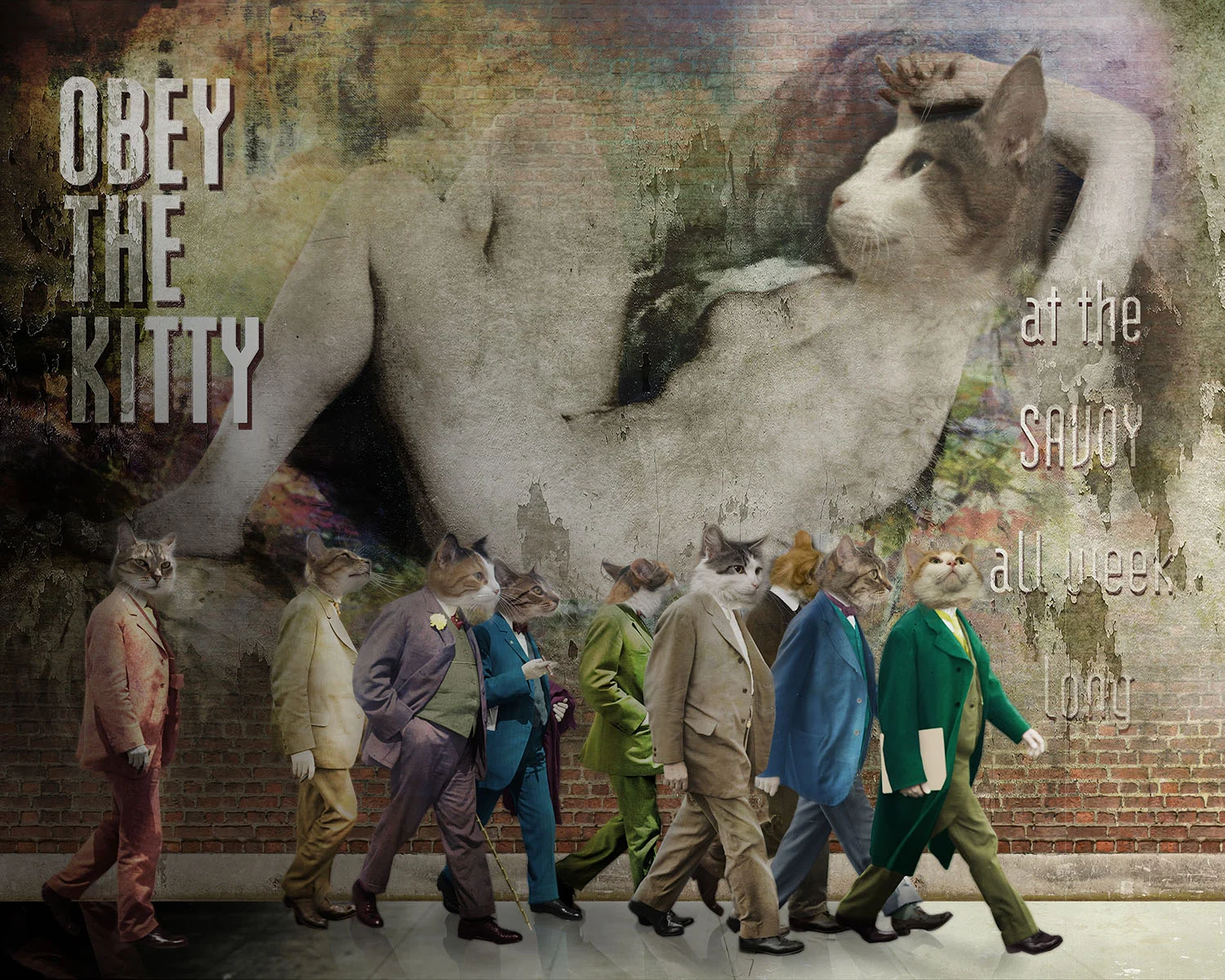 Obey the Kitty.jpg