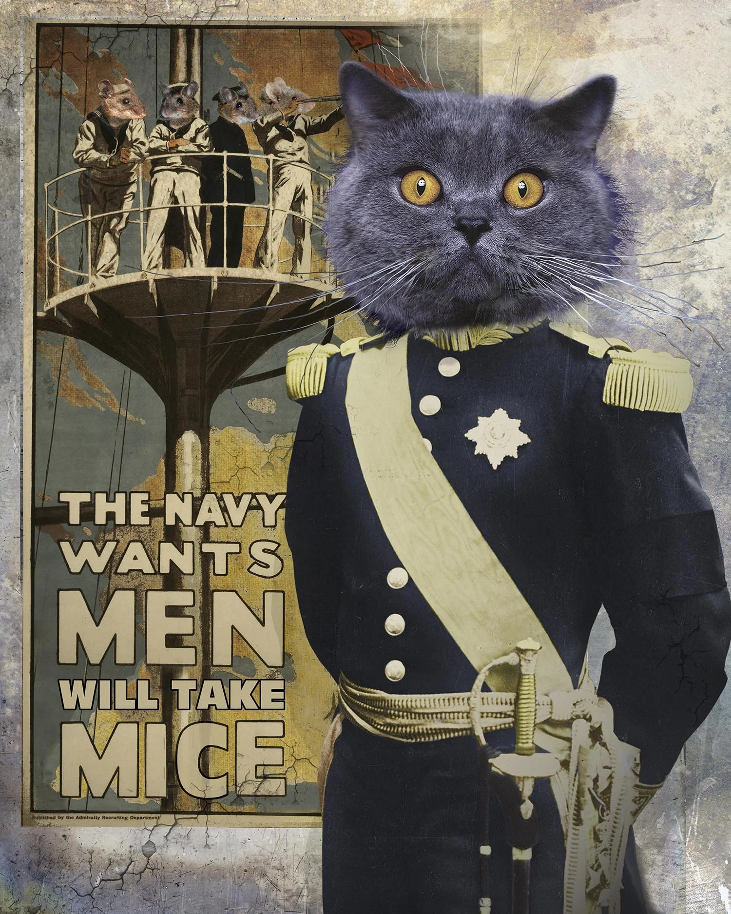 The Navy Needs Men