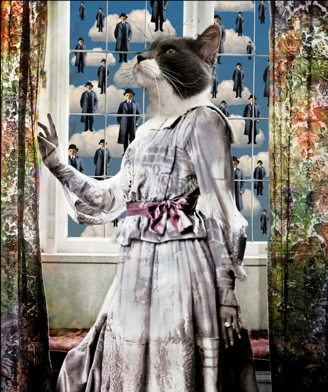 A Rain of René.jpg