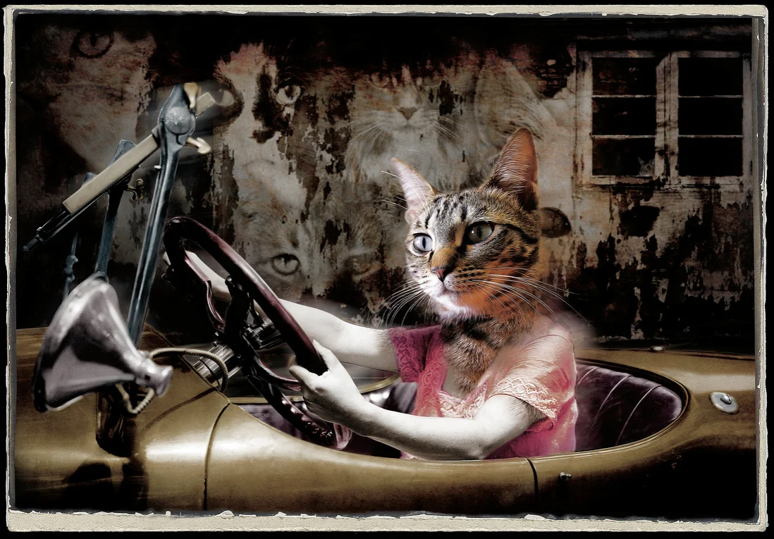 La Rue des Chats Fous.jpg