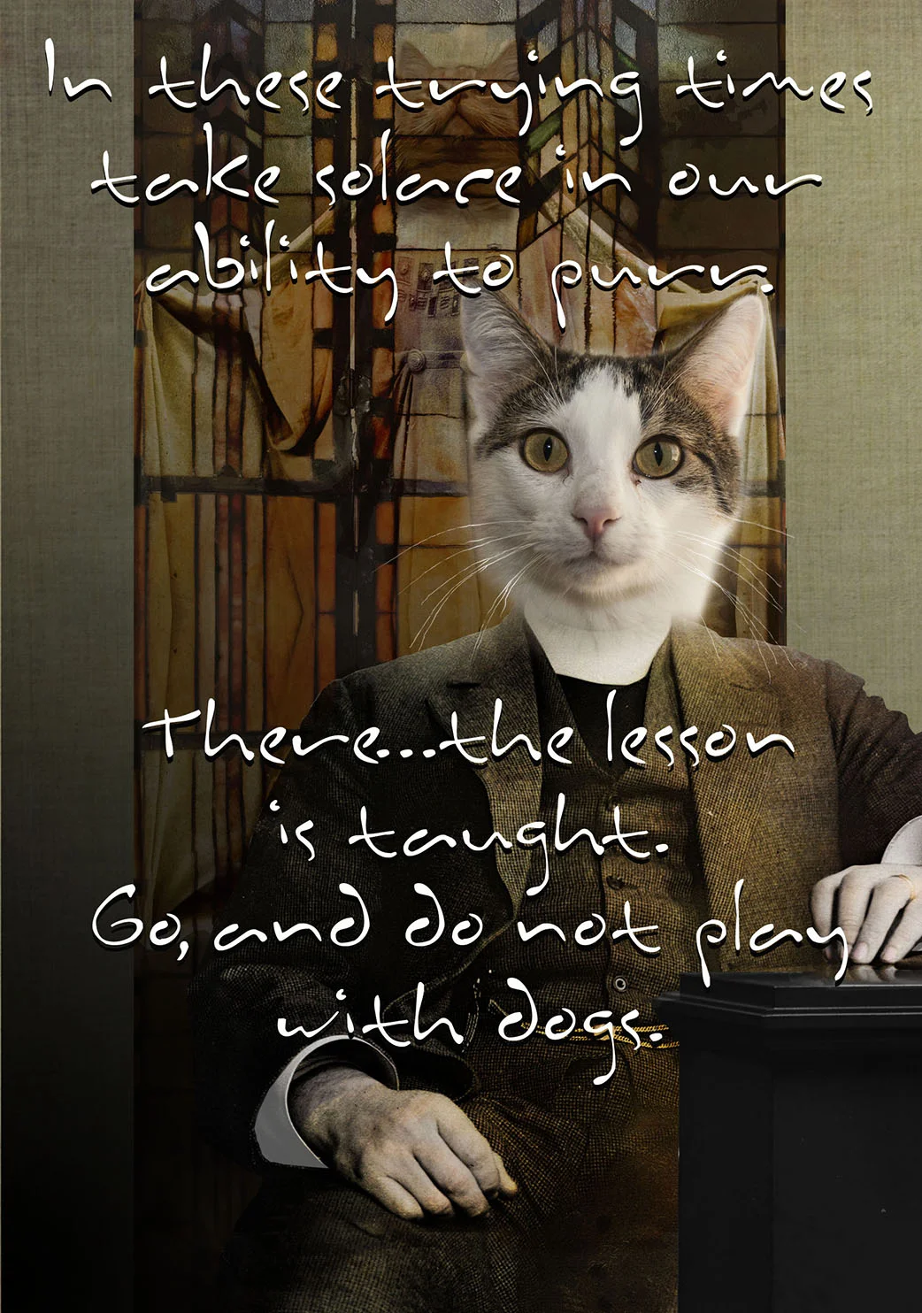 Do Not Play With Dogs