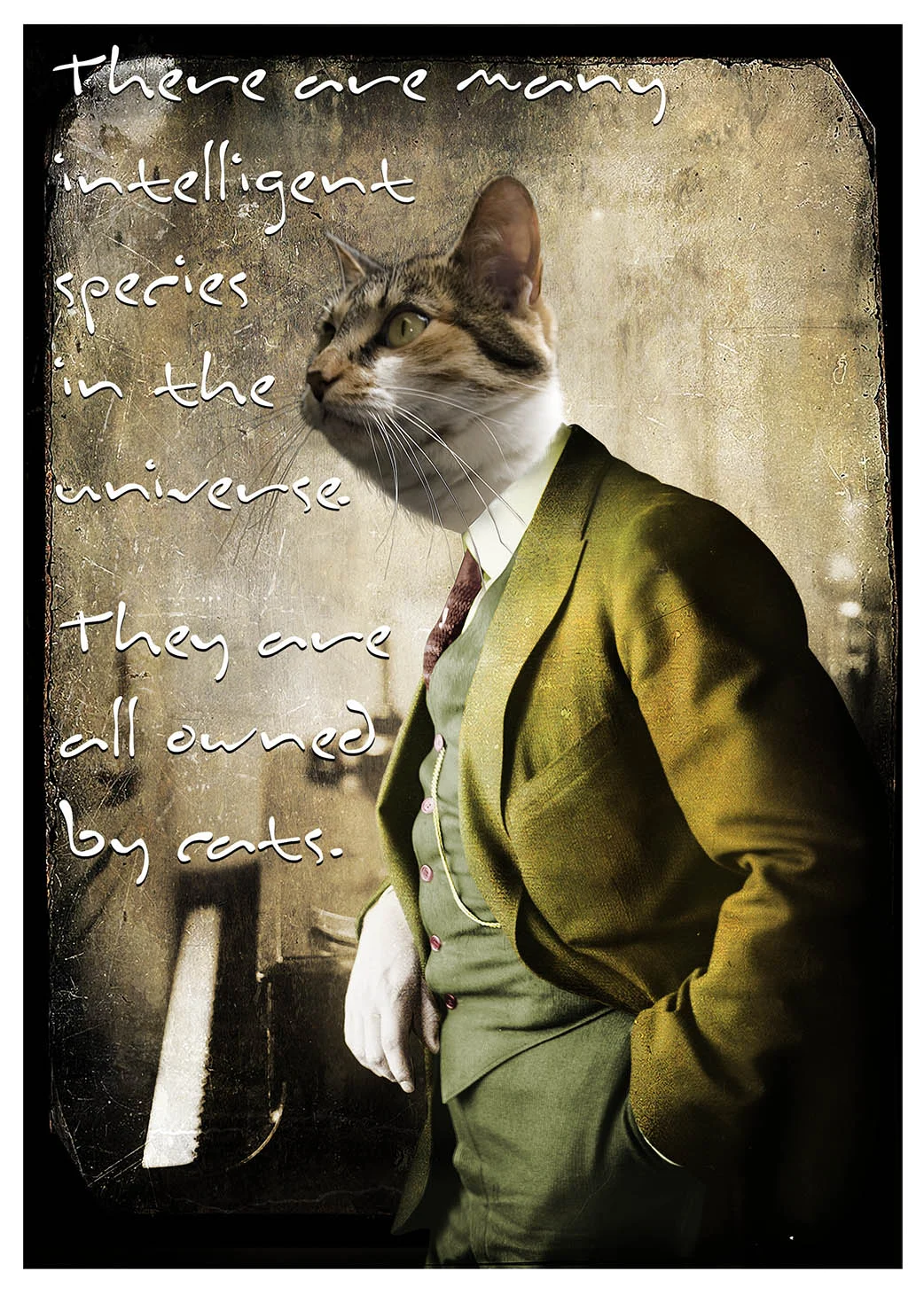 Intelligent Species