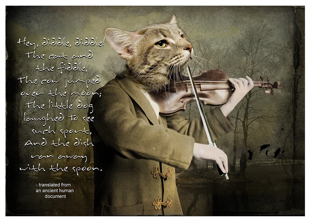 The Cat and the Fiddle