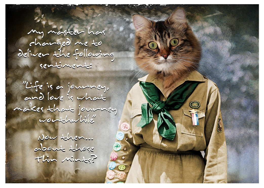 The Girl Scout