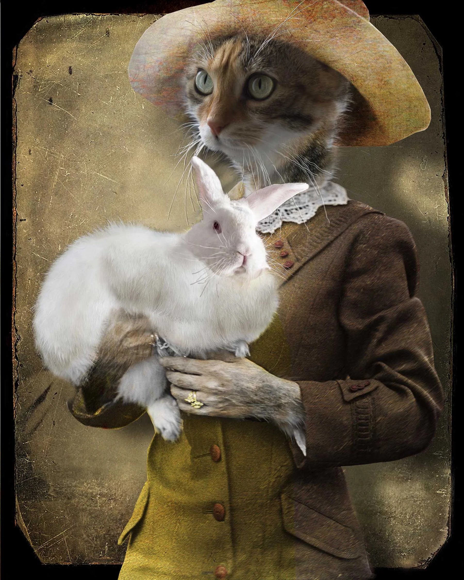 The White Rabbit