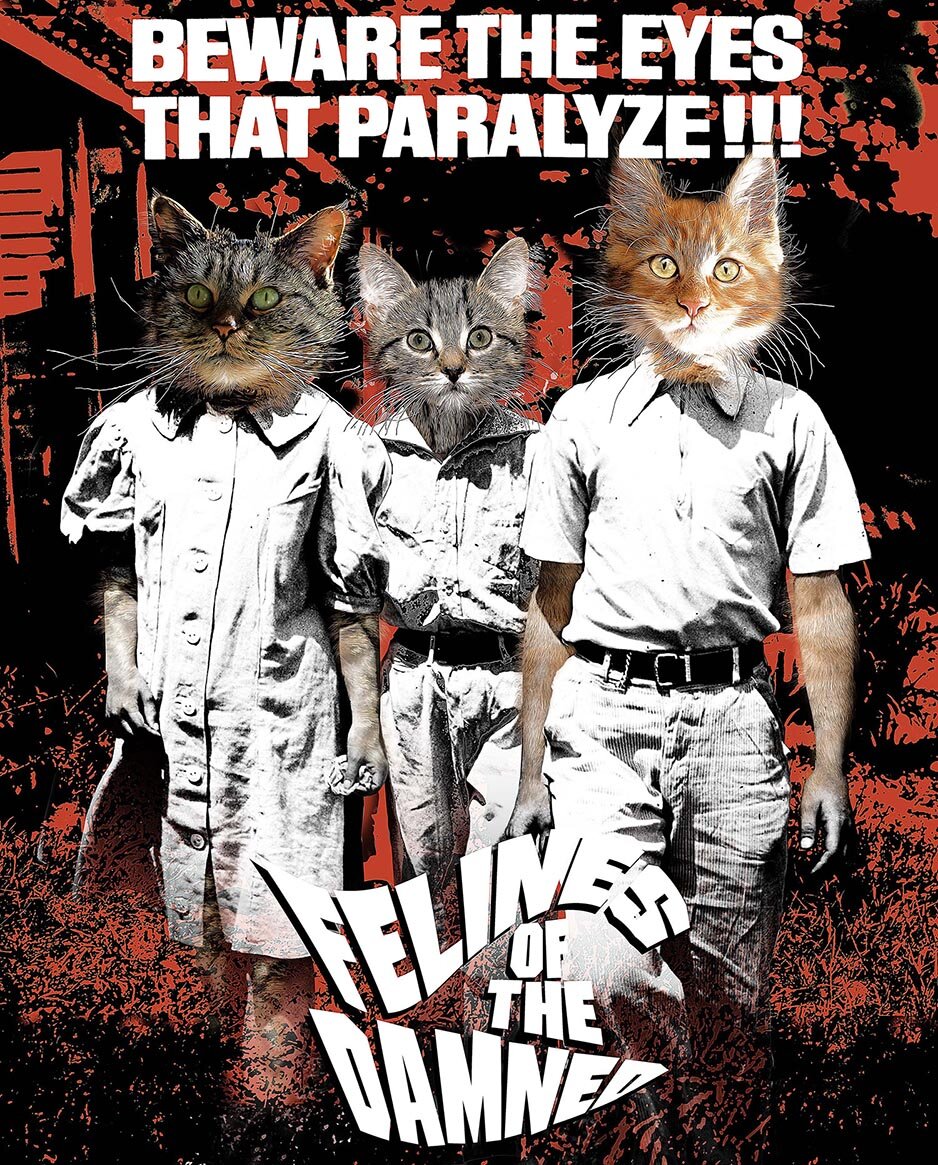 Felines of the Damned