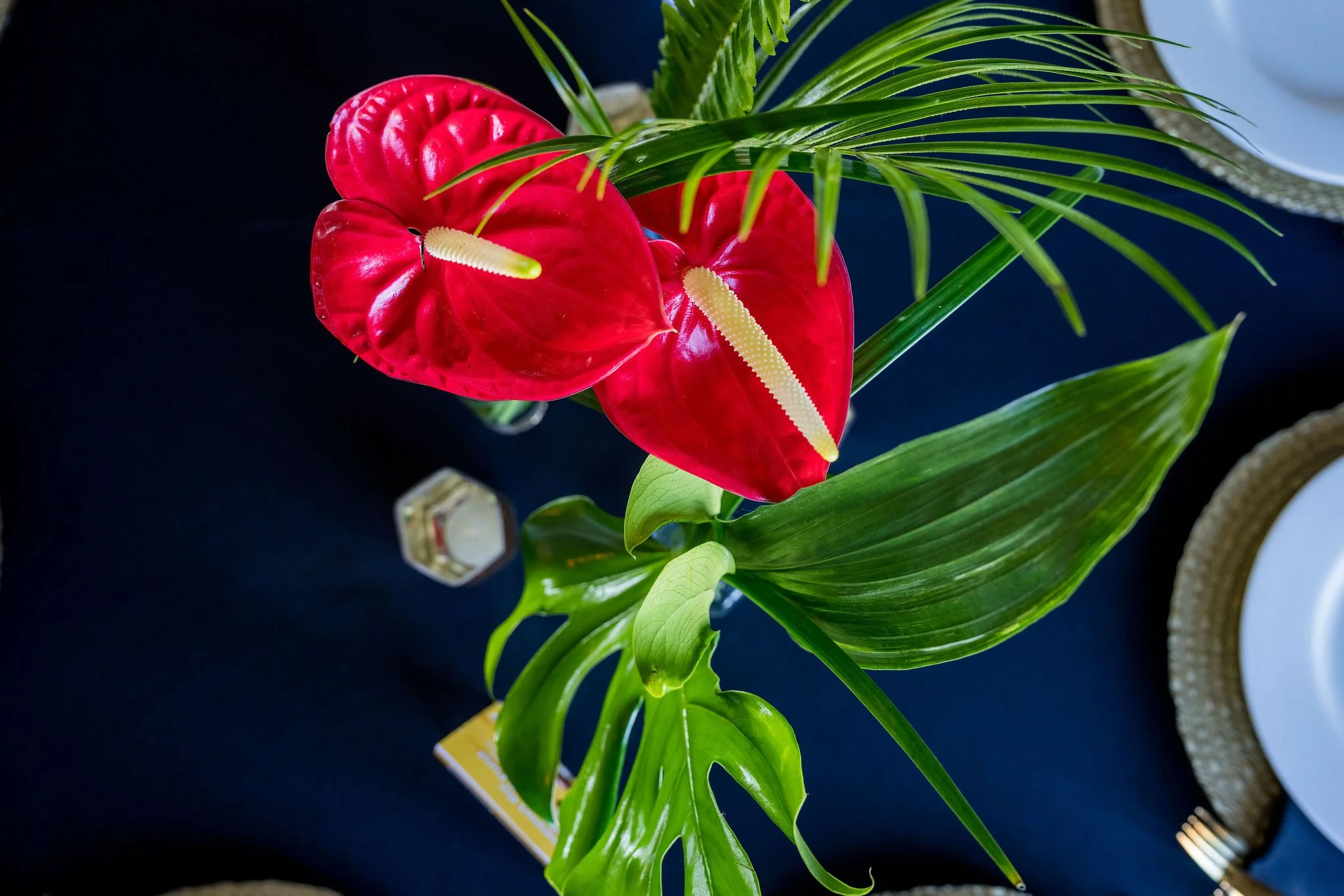 untitled-9.jpg