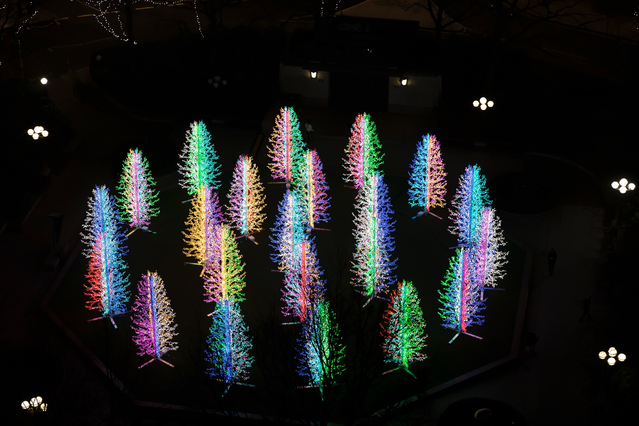 Final week of the Winter Lights!