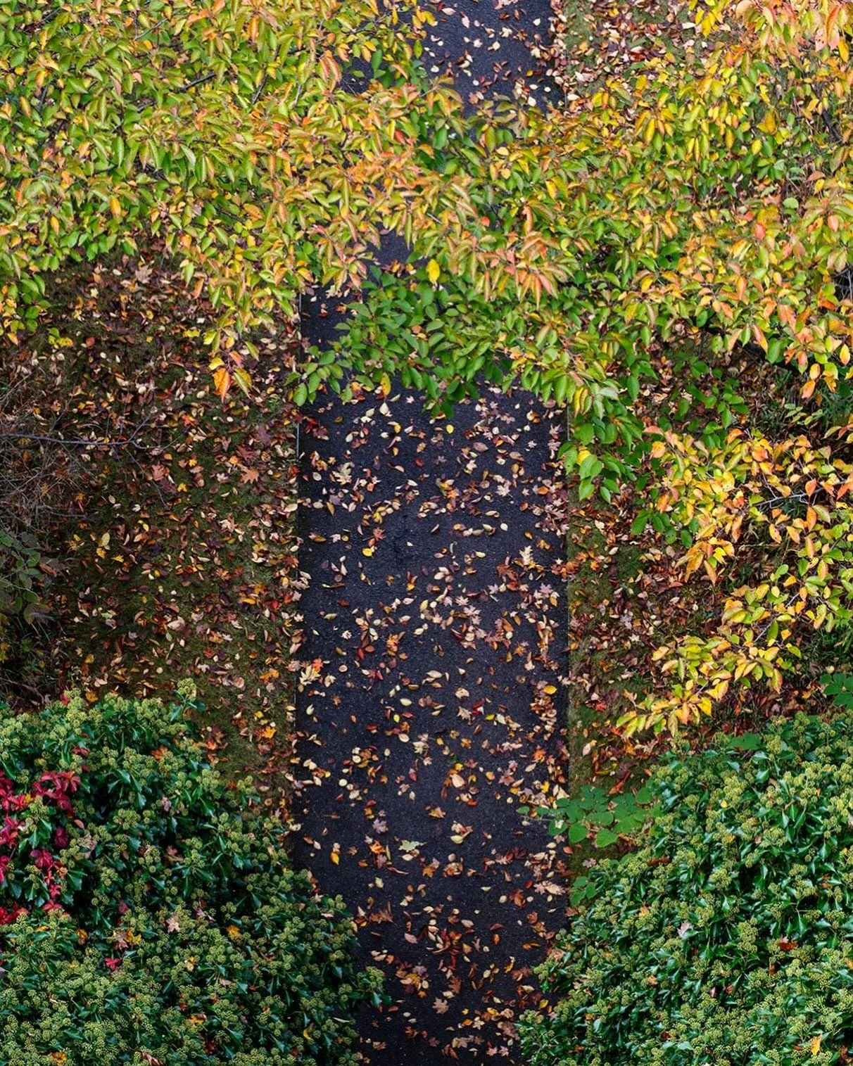 as above, so below

#stormking #autumn #leafpeeping #nikon #photography