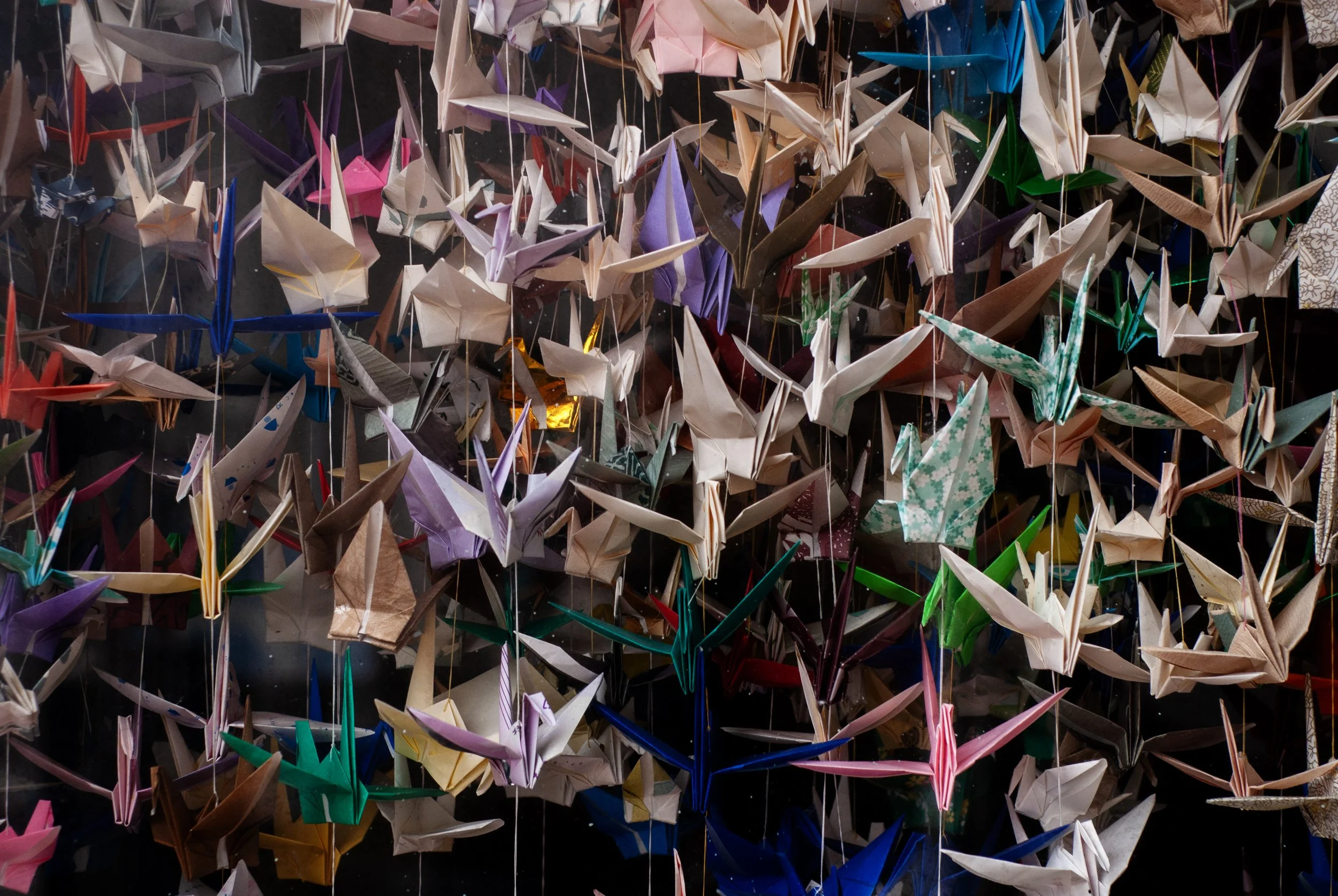 2013-02-24-Origami_Cranes.jpg