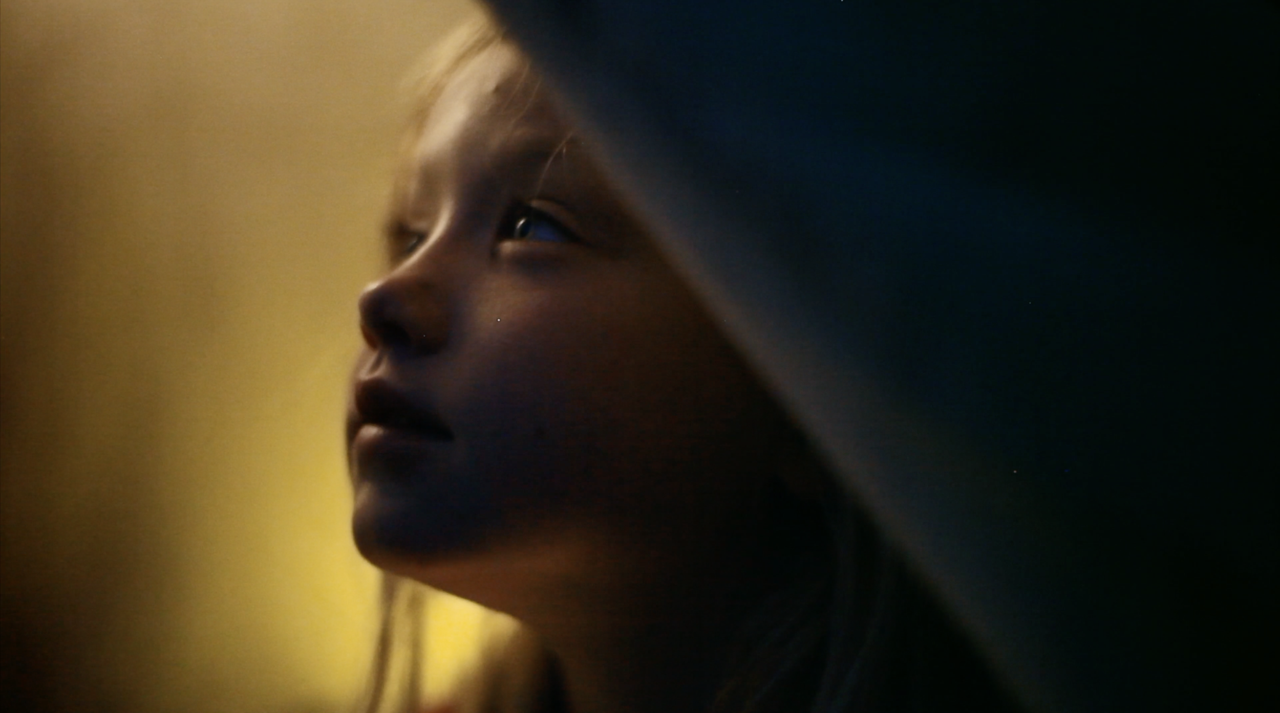 Screen Shot 2022-08-02 at 12.15.48 AM.png