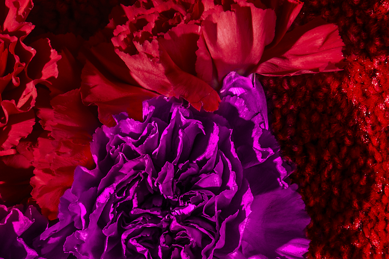 Red_LaydownTest4039_3.jpg