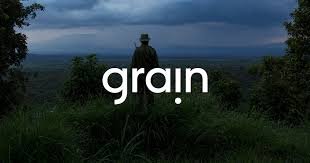 GRAIN.jpeg