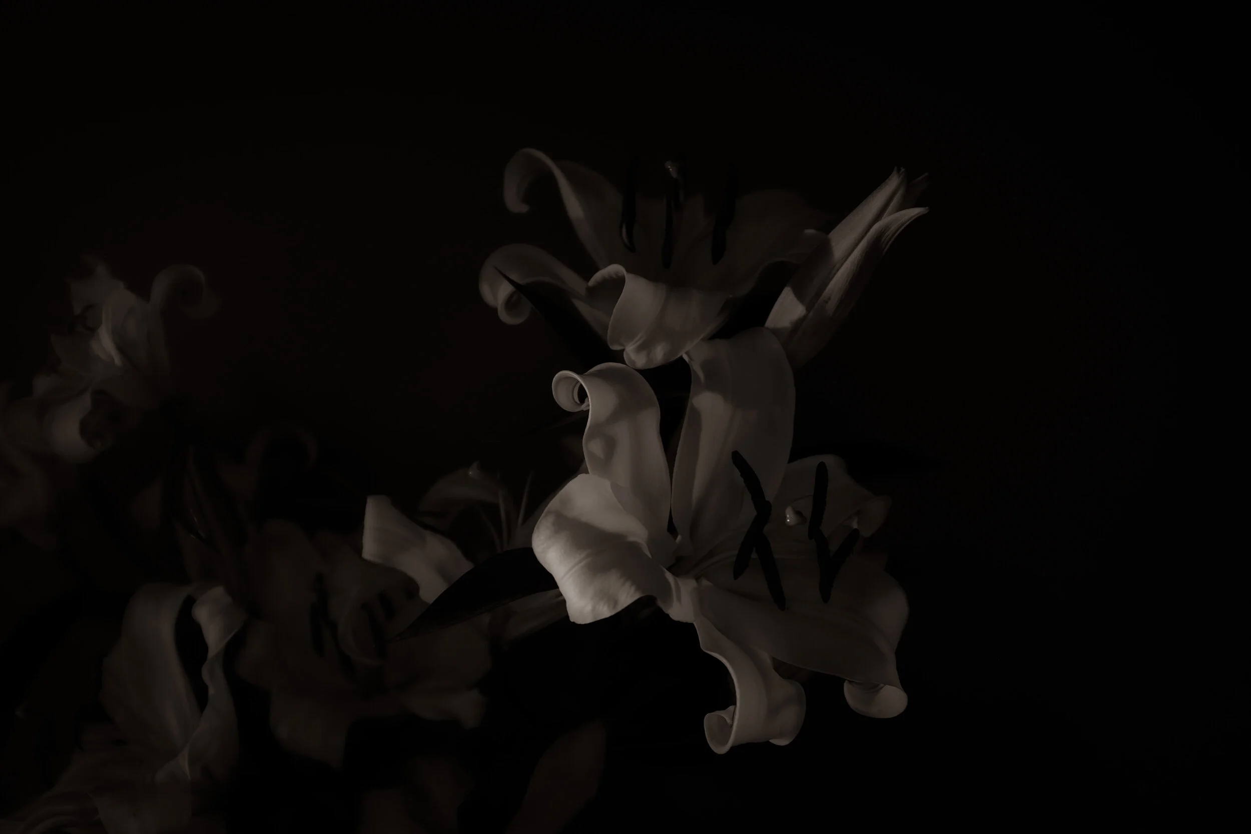 593BF55E-E92B-4E8A-8571-91FDBD76CD16.jpeg