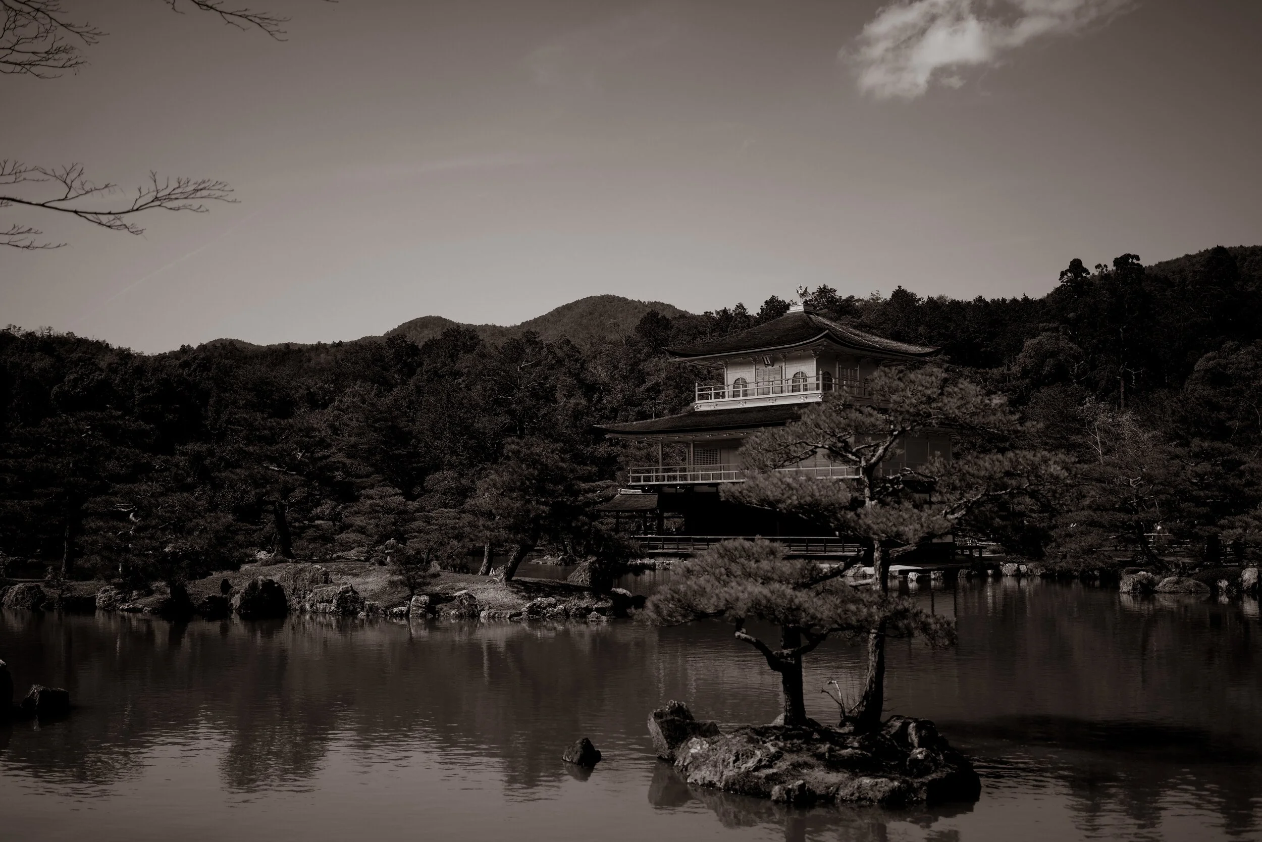 D7DE8FED-BD48-4C65-823B-452AEFF2D315.jpeg