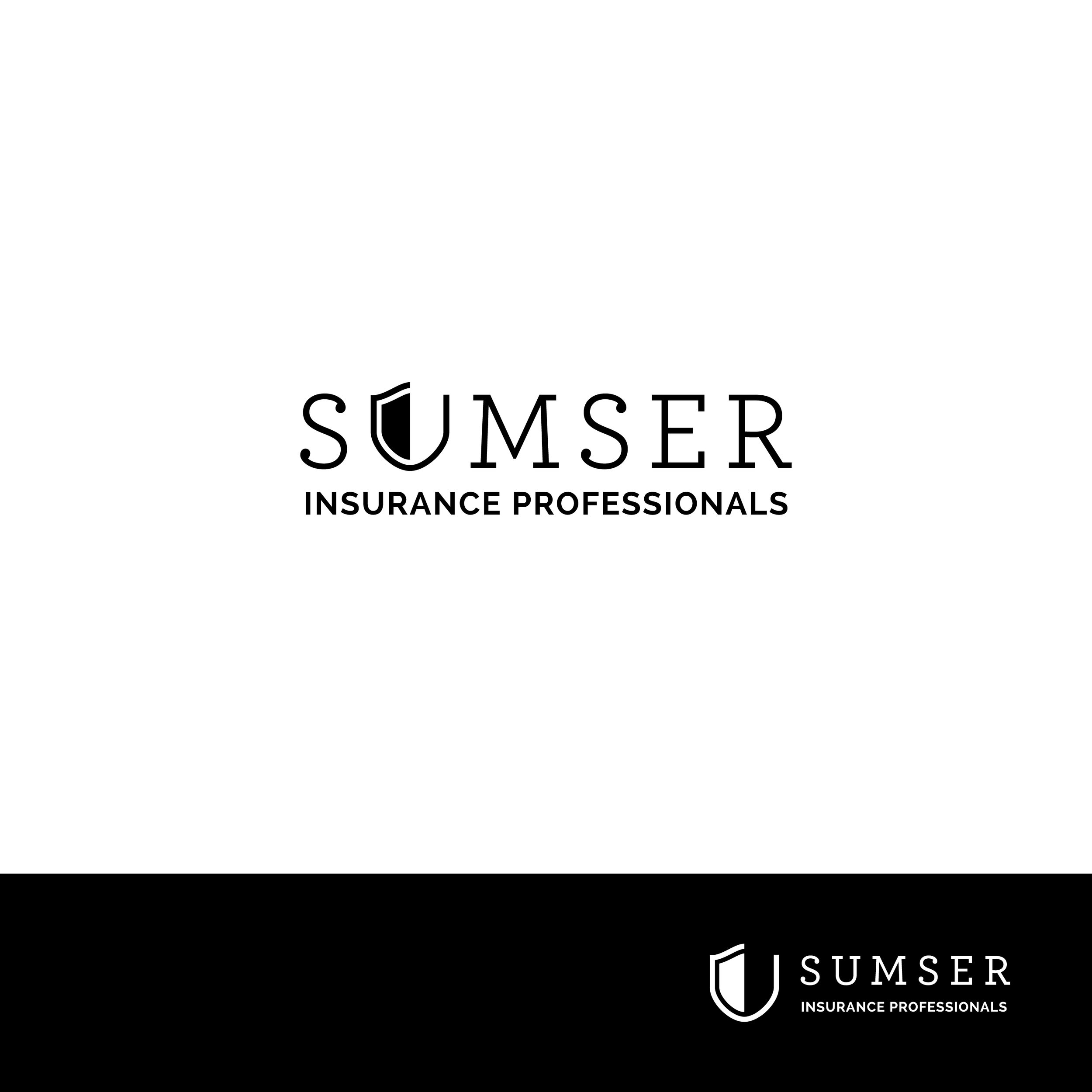 Concept 1:&nbsp;The Shield