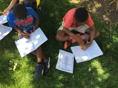 Using nature to inspire writing.