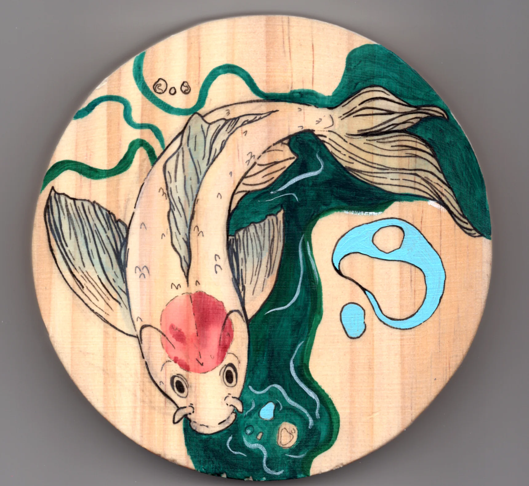 koi in the river.jpg