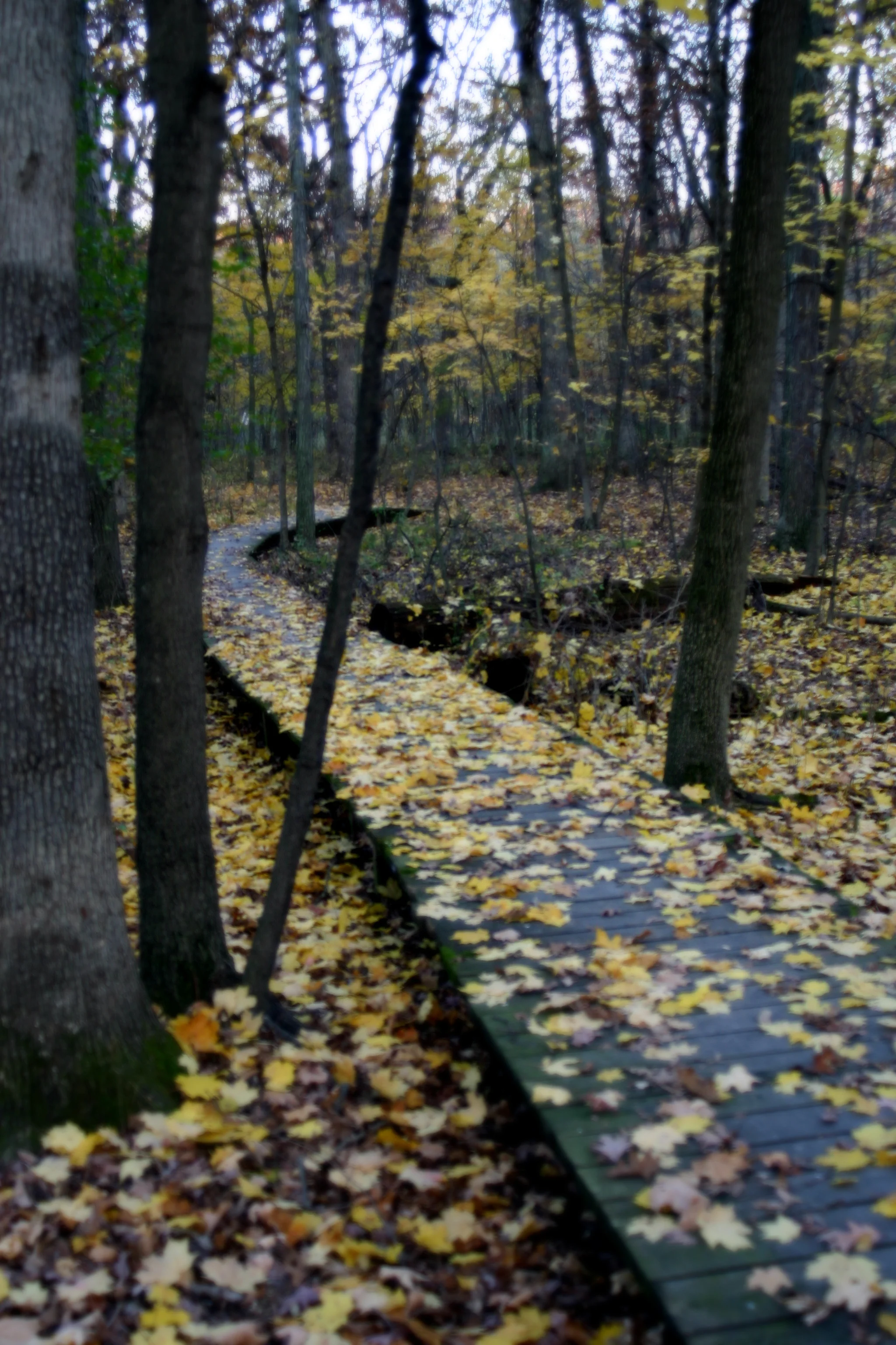 path_001.jpg