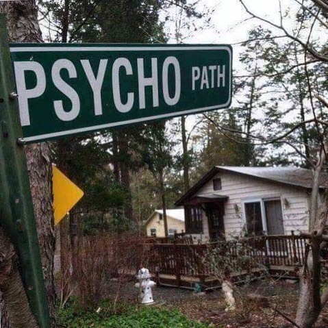 Calling all #psychos - this must be a signpost to the #psychmovie coming this Christmas! #psych