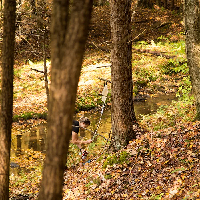 North Country Trail Allegheny National Forest