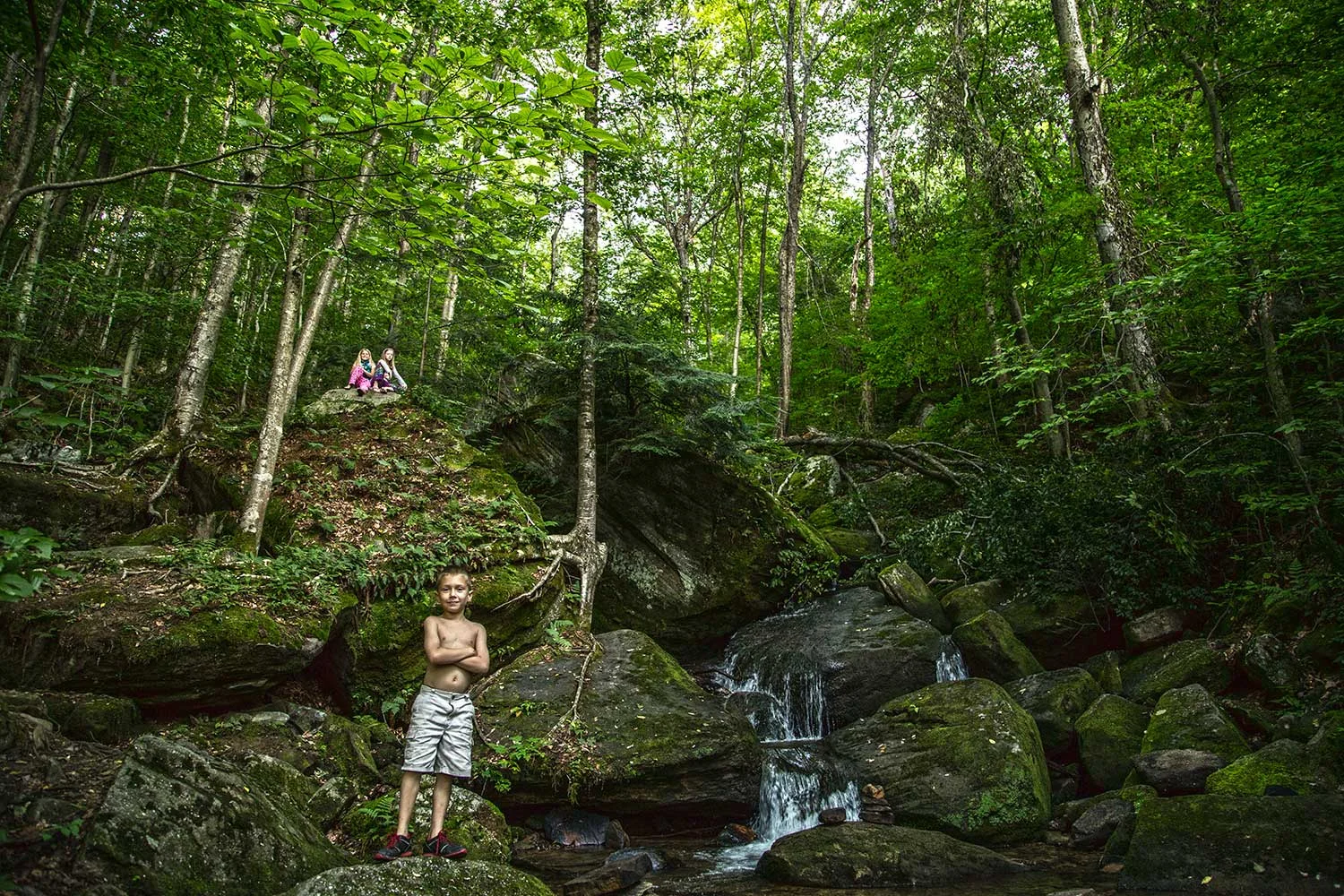 Bent Run Waterfall, Allegheny National Forest