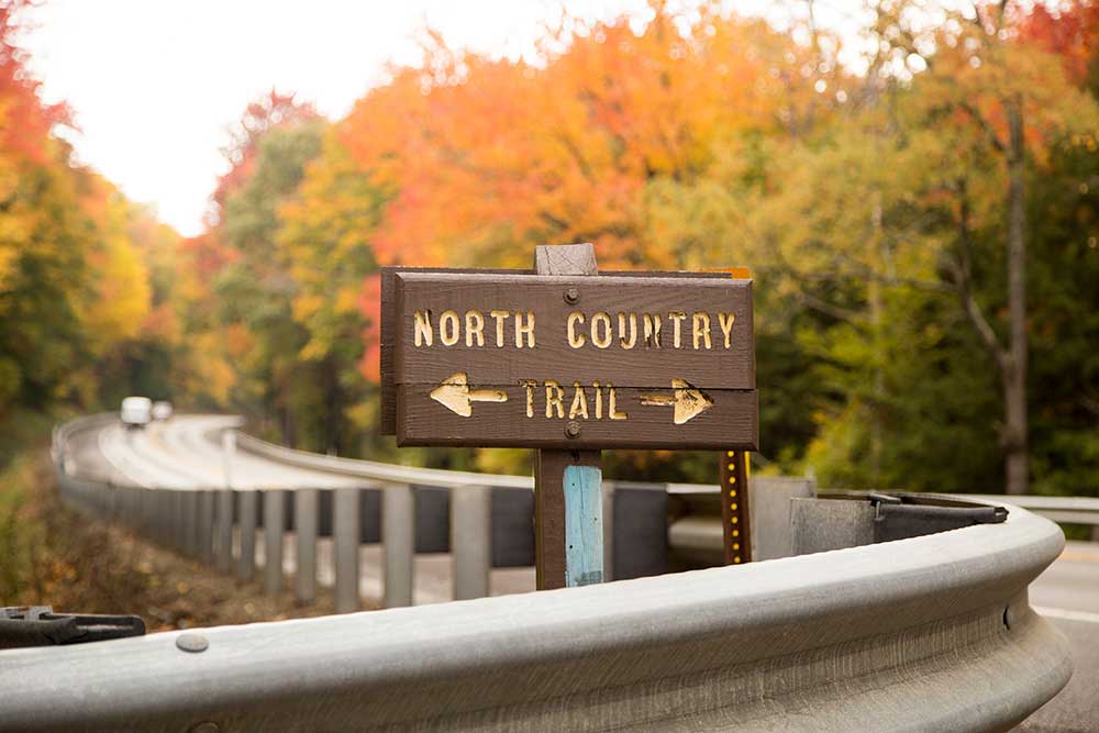 North Country Trail in the Allegheny National Forest - Route 59 Crossing