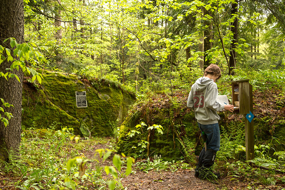 North Country Trail Allegheny National Forest