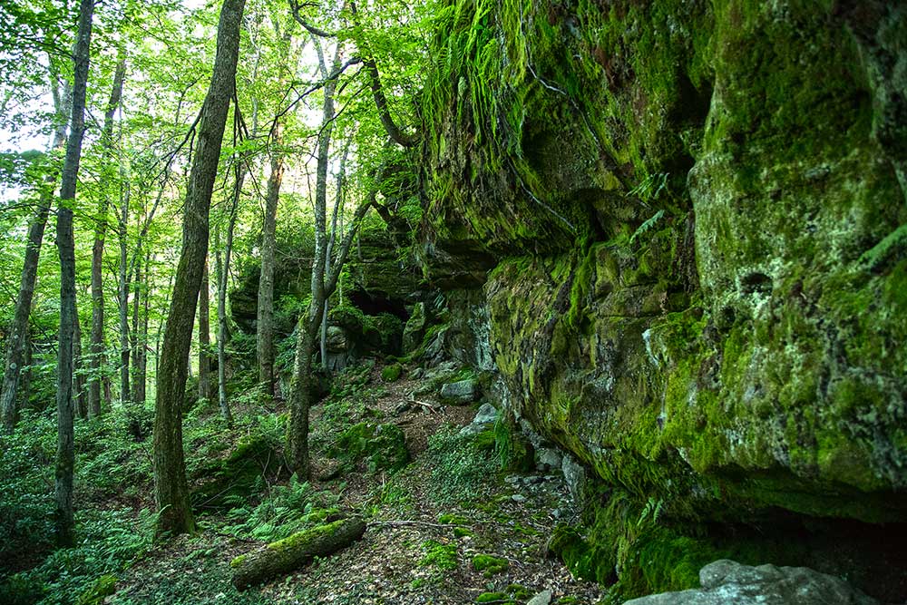 Rock Outcropping - Tanbark Trail - Allegheny National Forest