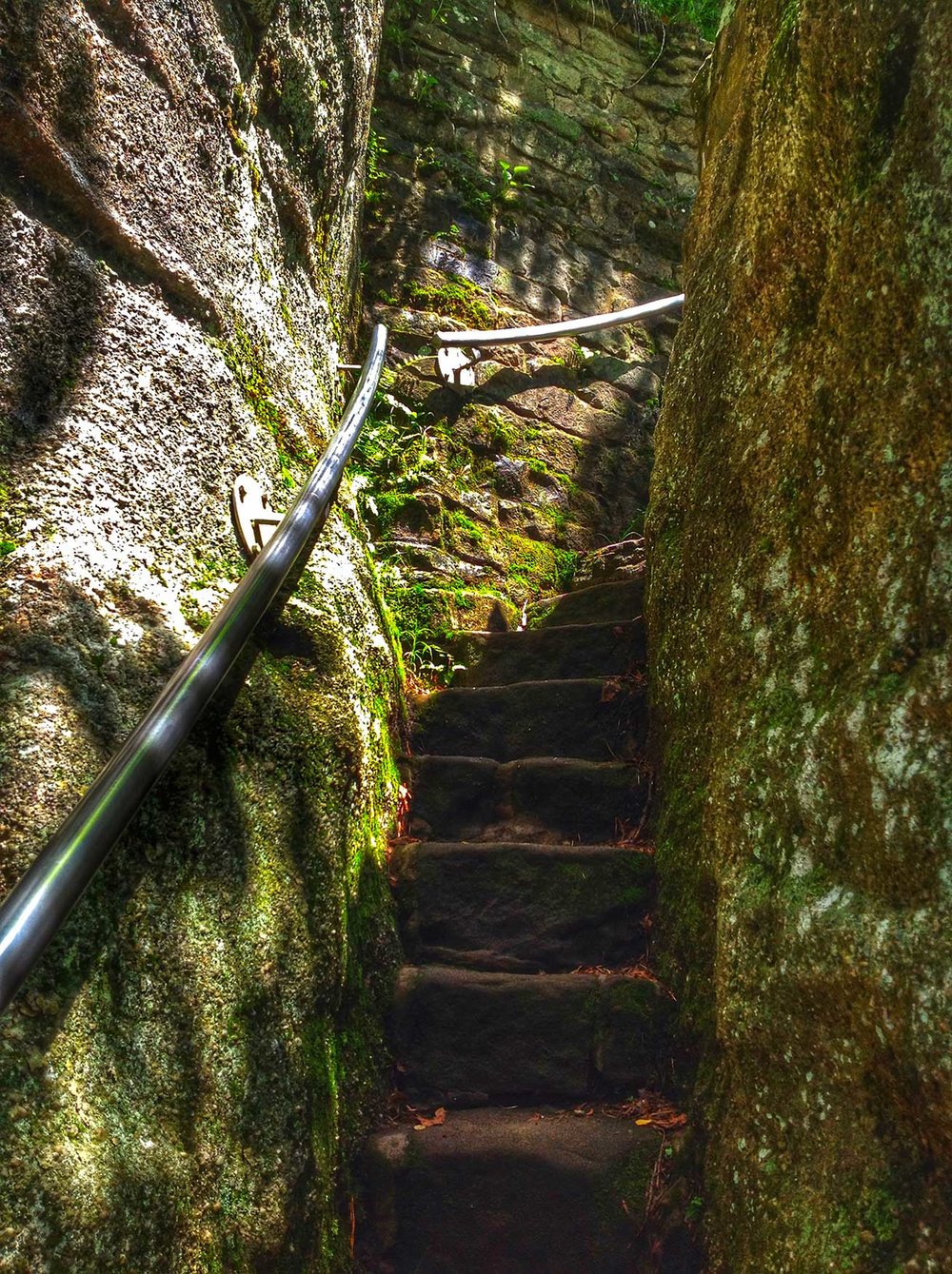 Stairs at Rimrock Trail - Allegheny National Forest