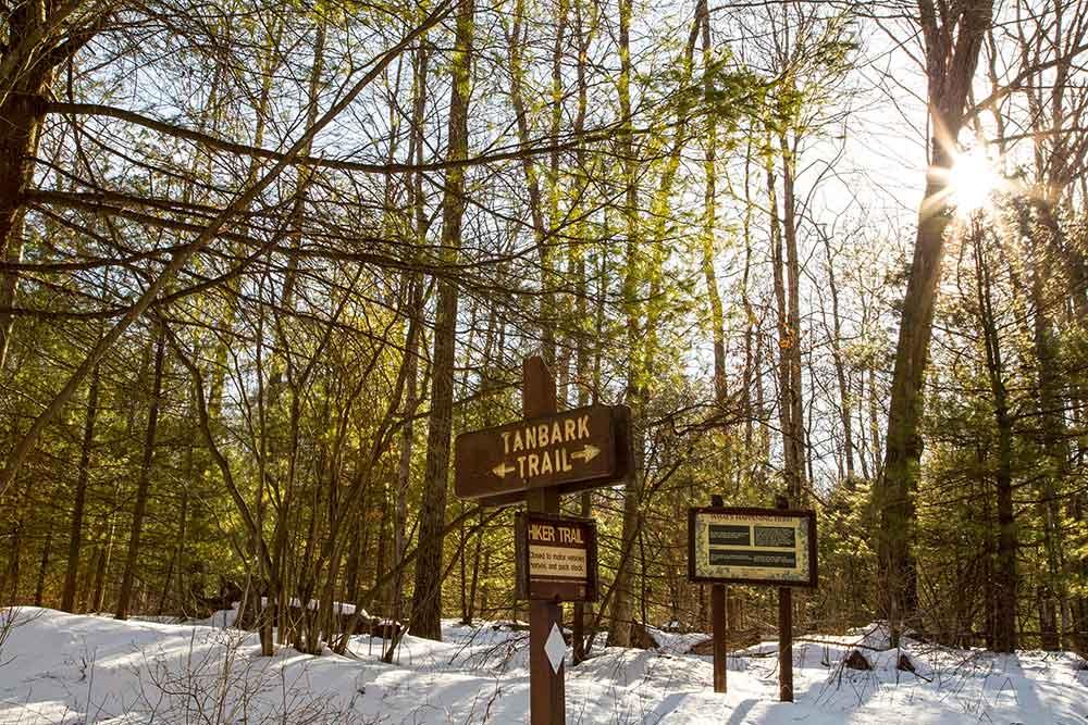 Snowshoe hike - Tanbark Trail - Allegheny National Forest