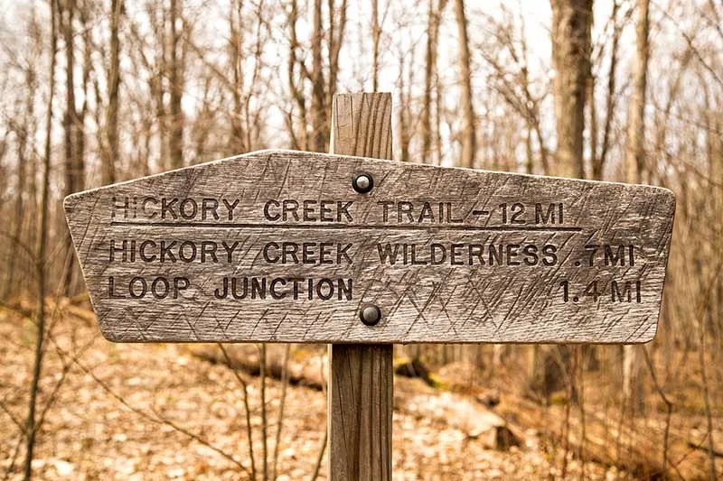 Hickory Creek Wilderness trail in the Allegheny National Forest