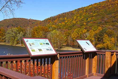 Kinzua Dam Eagle Viewing Platform