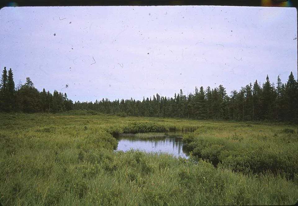 2f.jpg