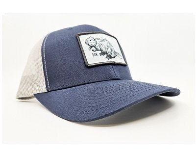 Beaver Dam Trucker Hat