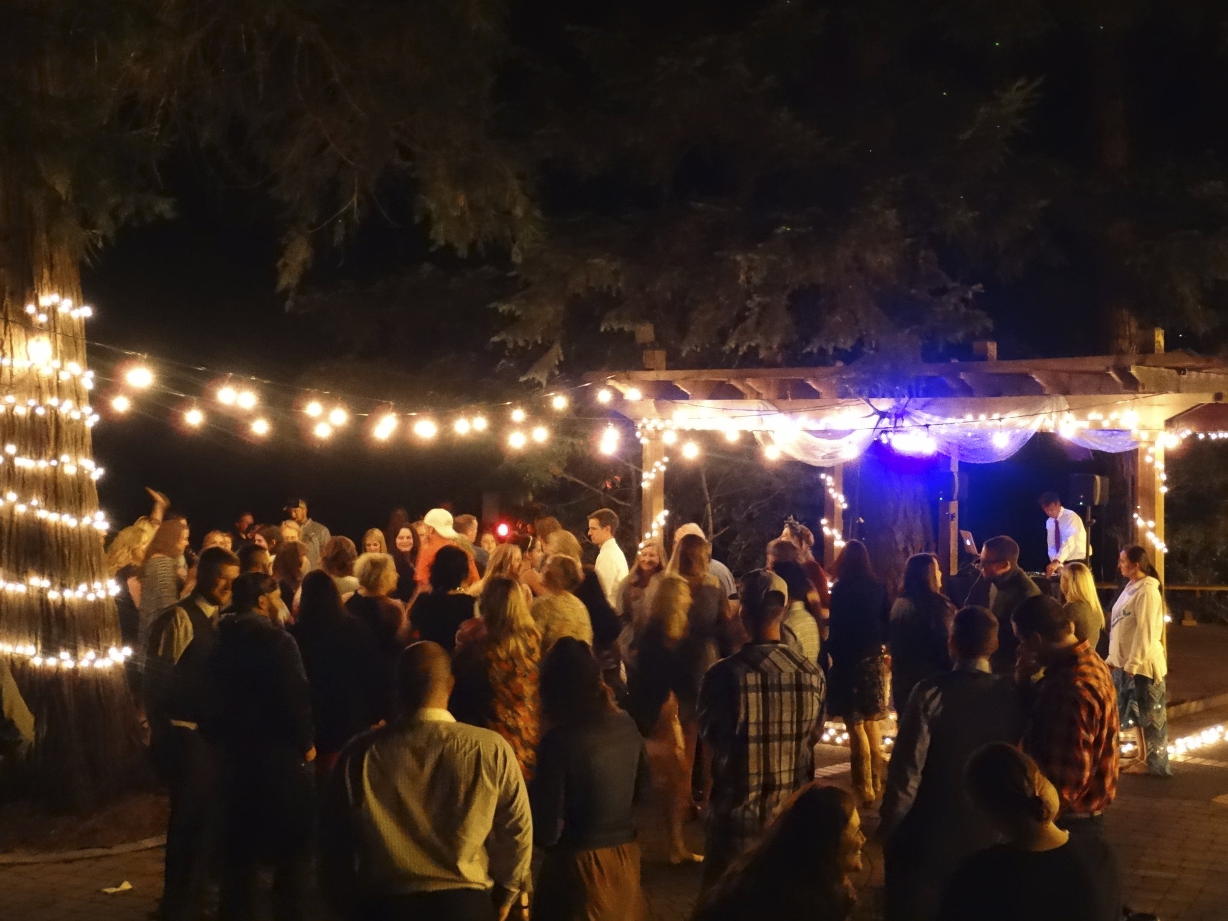 DSC02464 - Version 2.JPG