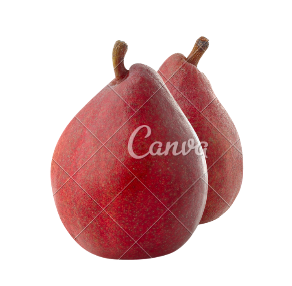 RED ANJOU.png