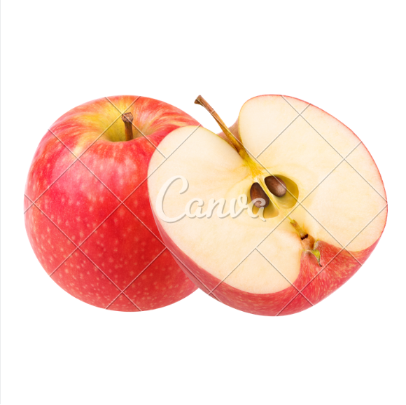 GALA.png