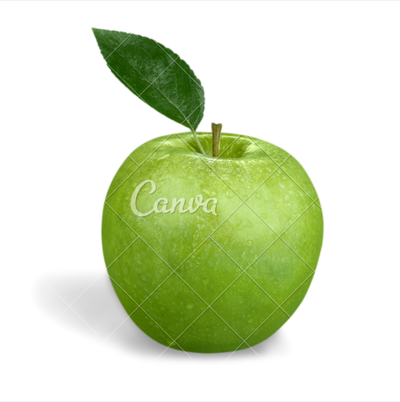 GRANNY SMITH.png