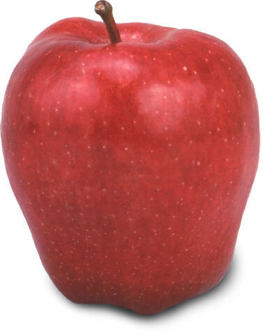 RED DELICIOUS Crisp and mildly sweet. The Red Delicious apple is the most widely grown variety in the world. Red Delicious is a medium-sized apple, with a tall conical shape. The dark and intense crimson color makes it the quintessential red apple, and it is has strong shelf appeal. While juicy, the Red Delicious is a soft apple and won't cook well, so it's best to eat them raw. They're also ideal snacks for the lunchbox. AVAILABLE: YEAR ROUND