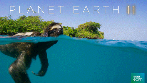 BBC EARTH