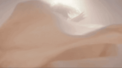 giphy.gif