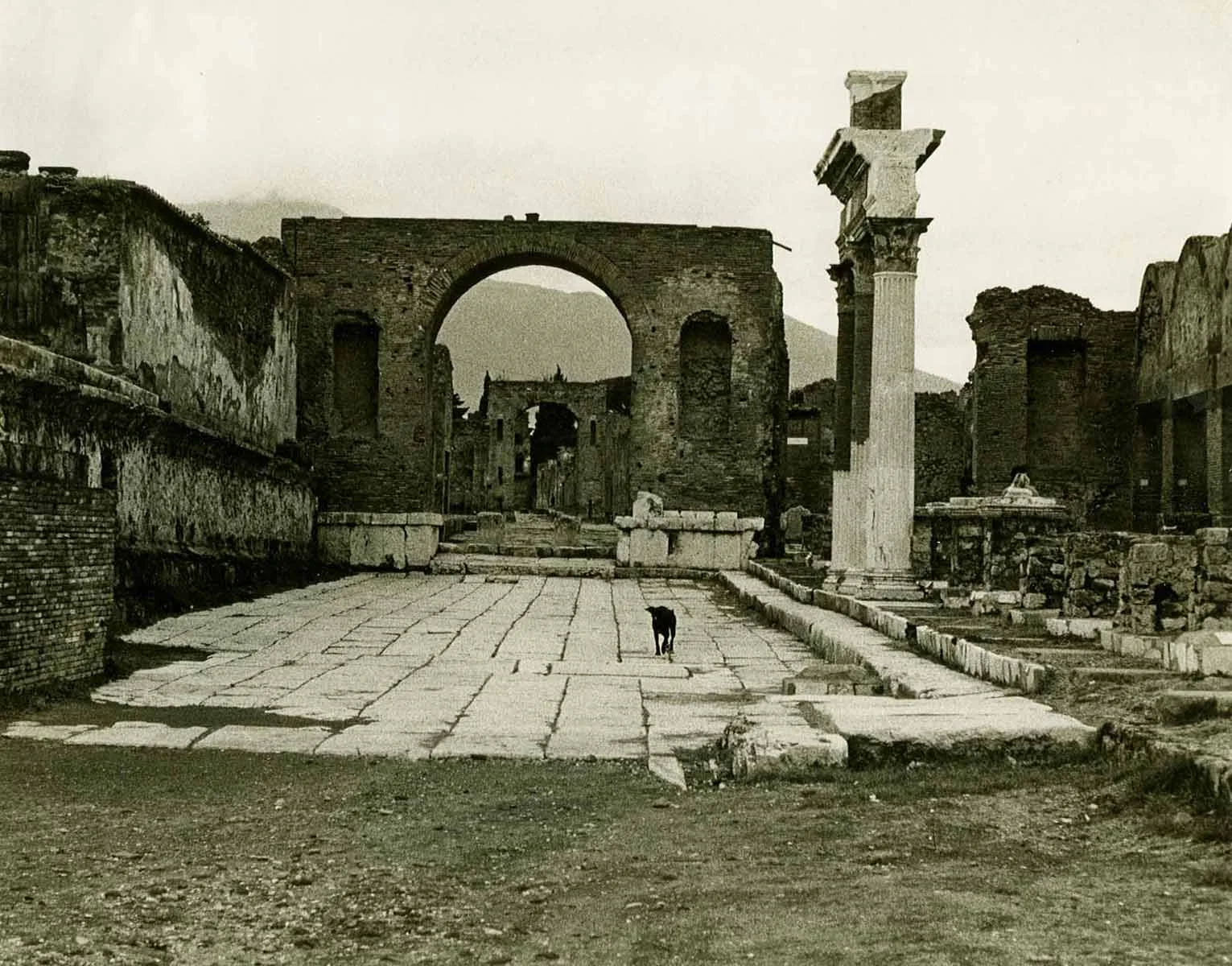 Dog Walking in Pompei 8x10.jpg
