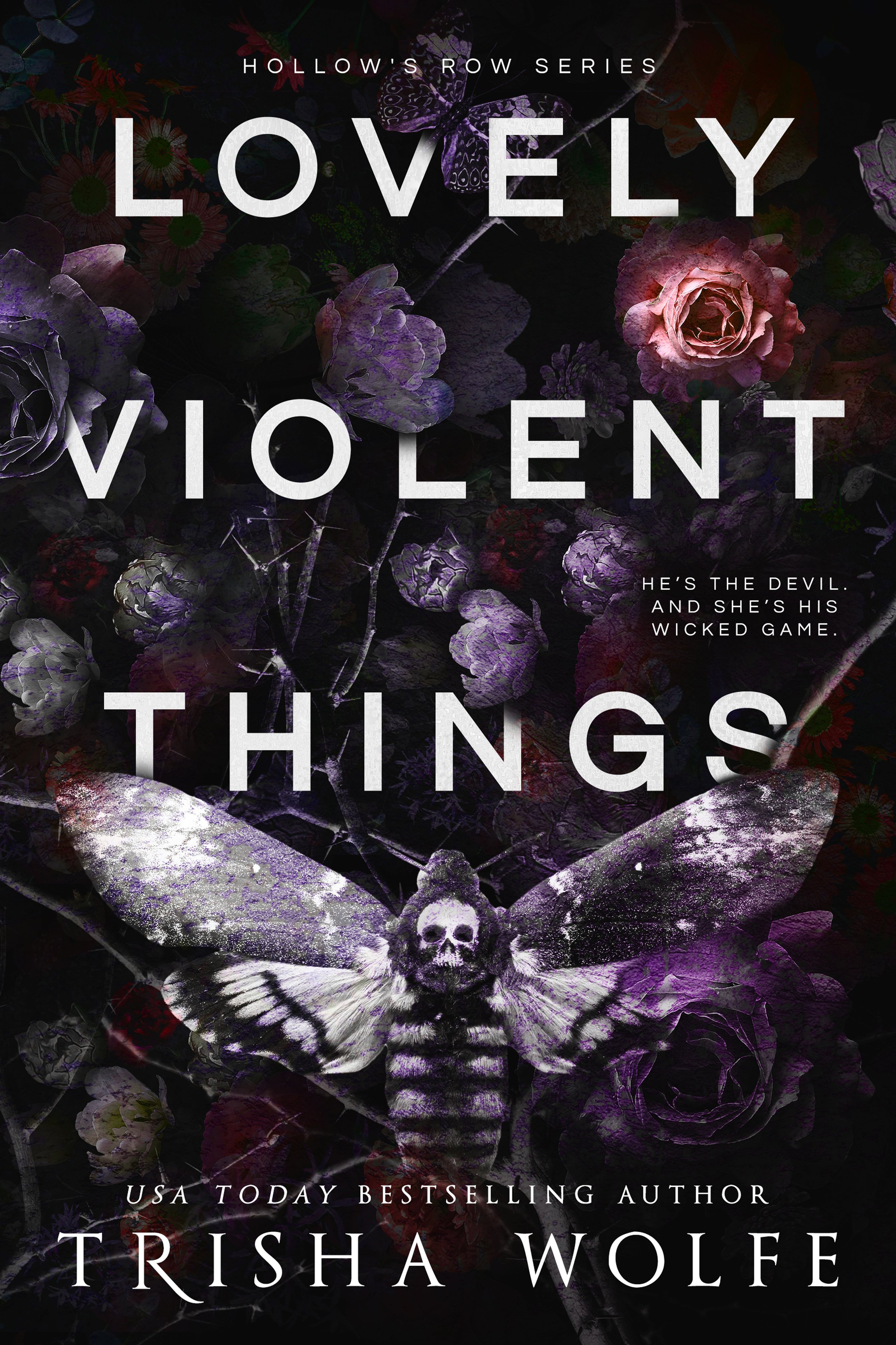 LOVELY VIOLENT THINGS