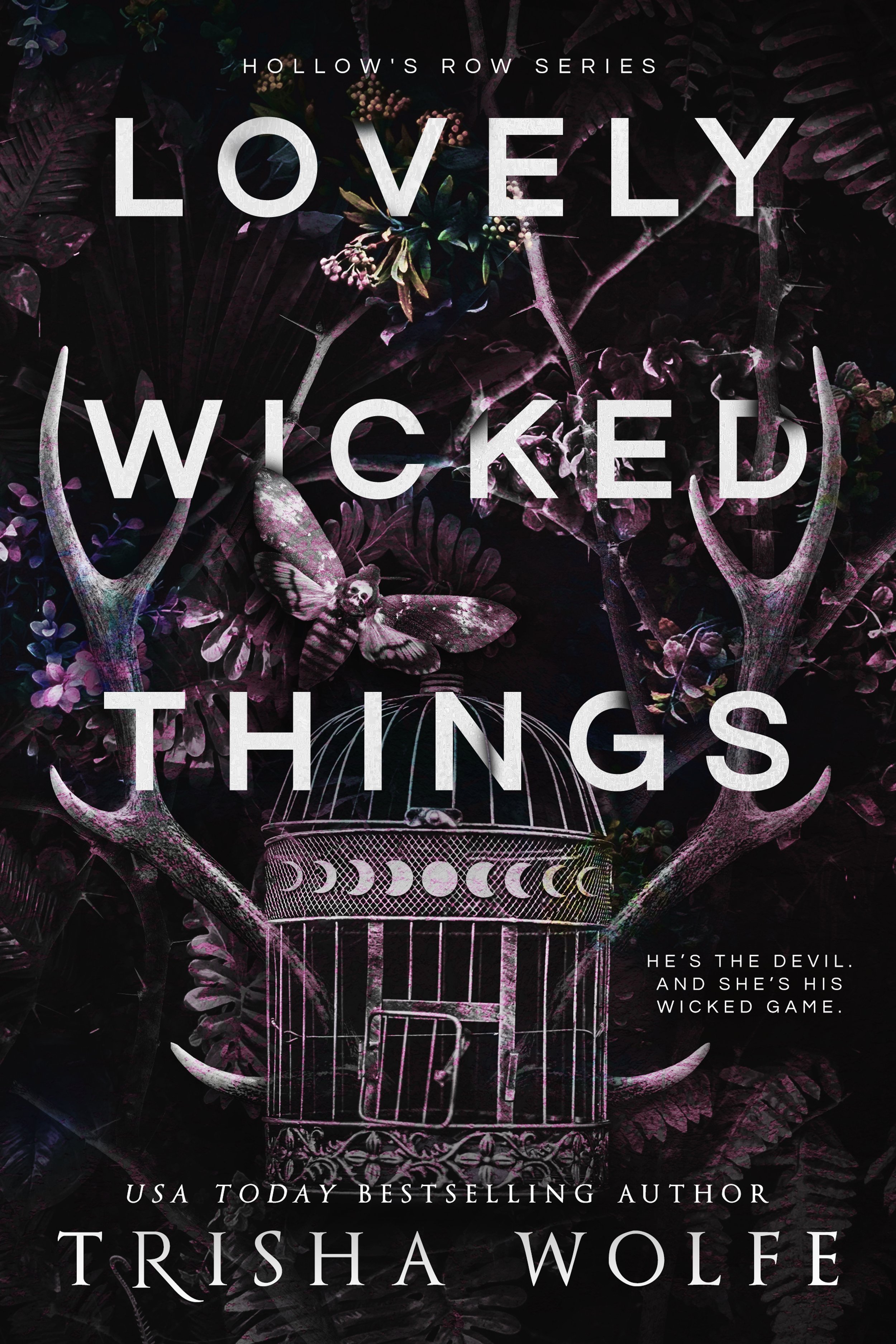 LOVELY WICKED THINGS