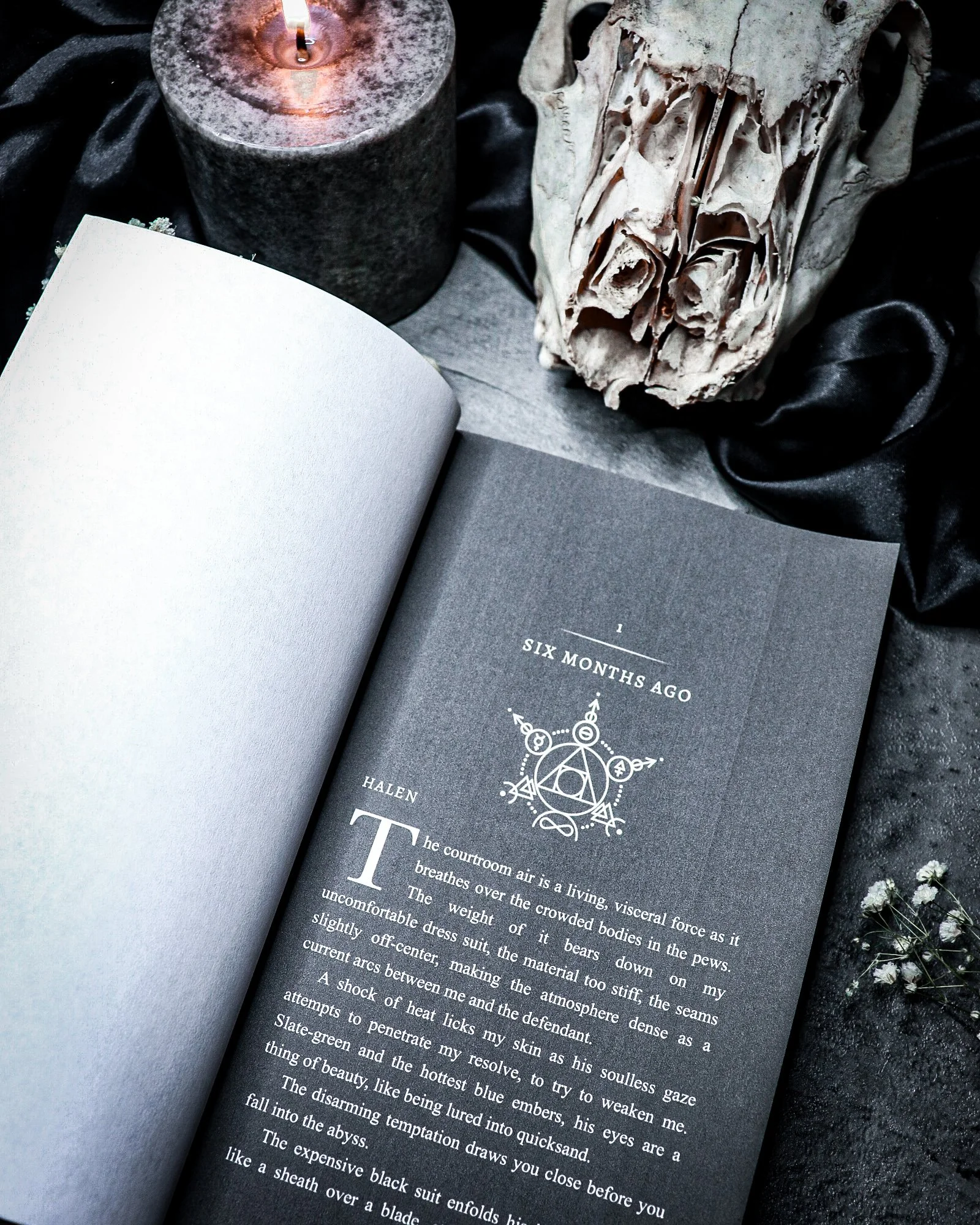 LBT chapter header .jpg