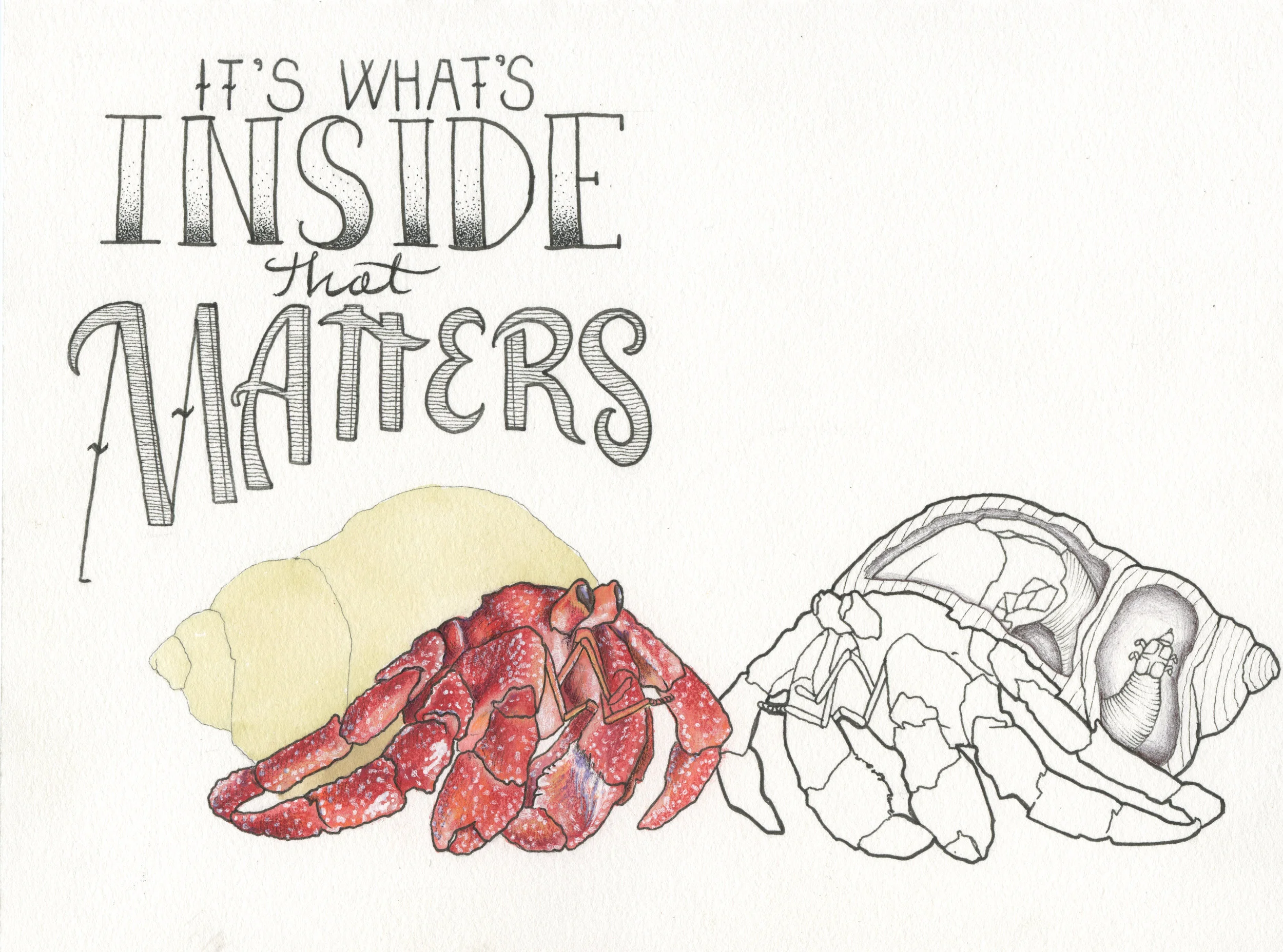 Hermit Crab