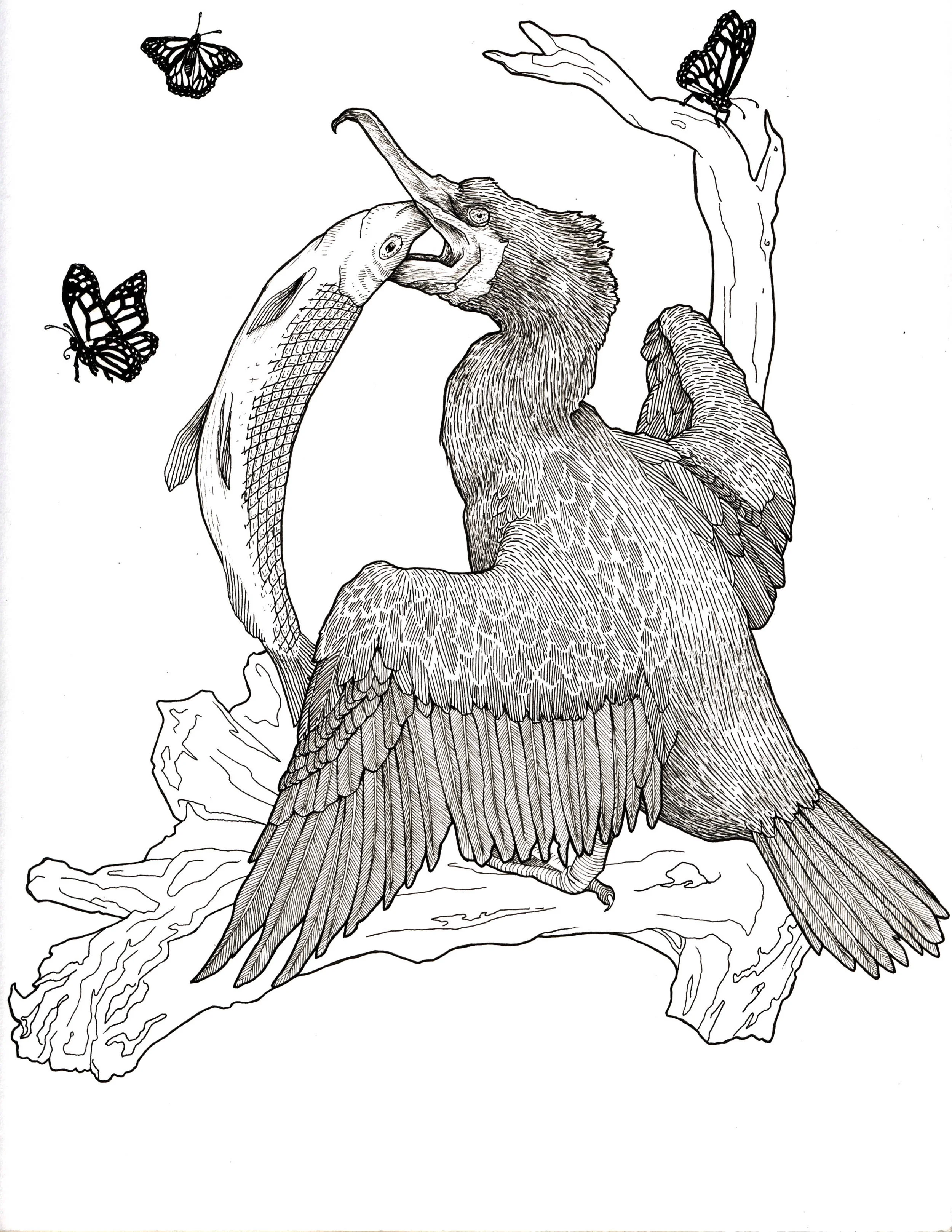 cormorant touch up.jpg